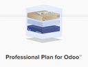 Odoo Hosting (Professional) 4 CPU Cores, RAM 8GB, SSD 200GB / month