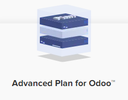Odoo Hosting (Advanced+++) 16 CPU Cores, RAM 65GB, NVMe 500GB / month