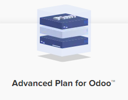 [OD-0010] Odoo Hosting (Advanced) 6 CPU Cores, RAM 16GB, SSD 400GB / month