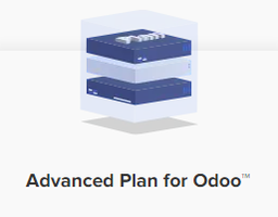 [OD-0014] Odoo Hosting (Advanced+++) 16 CPU Cores, RAM 65GB, NVMe 500GB / month